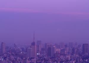 セブ・ボラカイ・マニラに不動産を買う