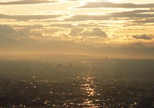 不動産関係の会社を簡潔に紹介します