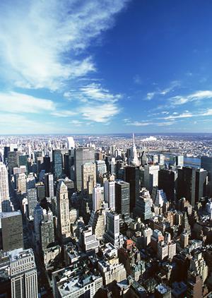 自然素材×感動空間!香川県で理想の新築住宅を手に入れる方法