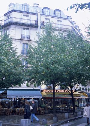 2025年版:富山で不動産売却を成功させるための完全ガイド