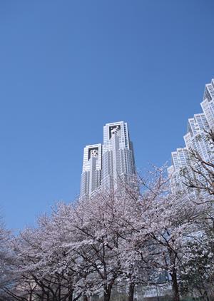 長野市不動産査定の依頼ができる会社